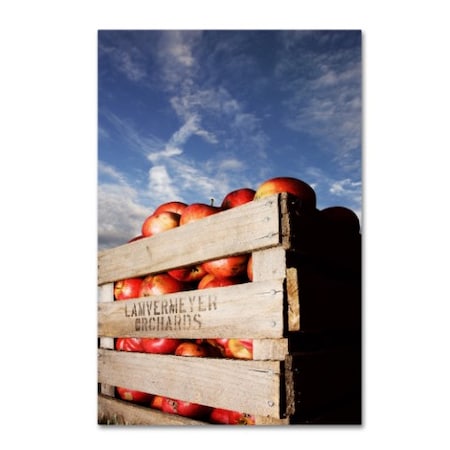 Jason Shaffer 'Orchard' Canvas Art,16x24